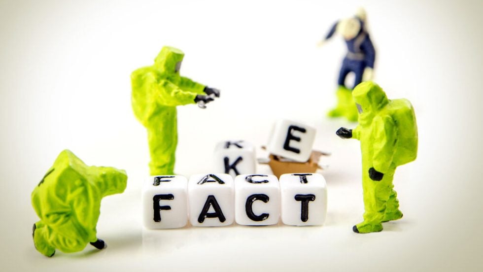 fake fact